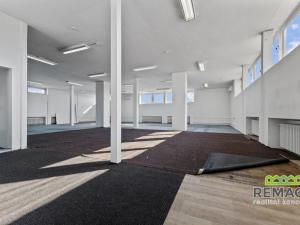 Pronájem obchodního prostoru, Kunovice, Pekařská, 217 m2
