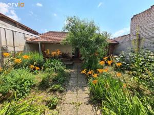 Pronájem rodinného domu, Hrušky, 100 m2