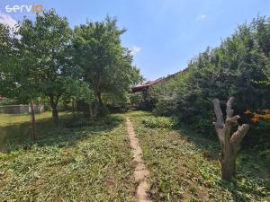 Pronájem rodinného domu, Hrušky, 100 m2
