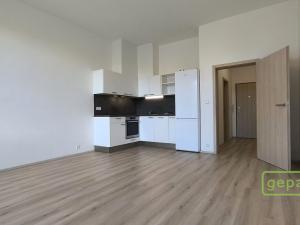 Pronájem bytu 1+kk, Brno - Židenice, Gajdošova, 34 m2