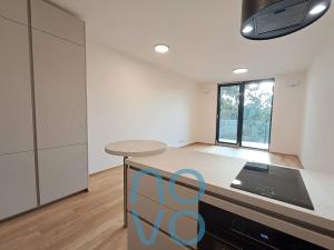 Pronájem bytu 1+kk, Praha - Břevnov, Radimova, 43 m2