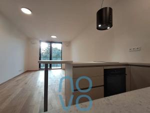 Pronájem bytu 1+kk, Praha - Břevnov, Radimova, 43 m2