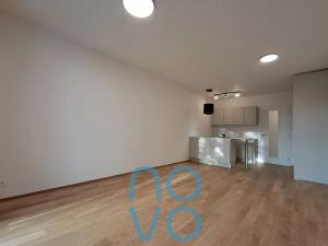 Pronájem bytu 1+kk, Praha - Břevnov, Radimova, 43 m2