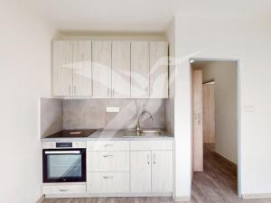 Pronájem bytu 1+1, Holýšov, Pod Makovým vrchem, 41 m2