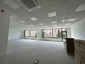 Pronájem kanceláře, Brno, Botanická, 1200 m2