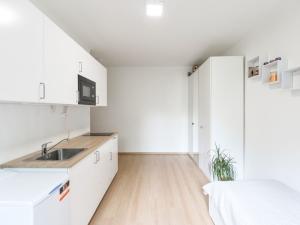 Prodej bytu 1+kk, Praha - Michle, Jihlavská, 19 m2