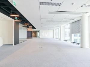 Pronájem kanceláře, Praha - Holešovice, Plynární, 443 m2