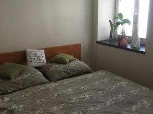 Pronájem bytu 2+kk, Opava, Rybářská, 32 m2