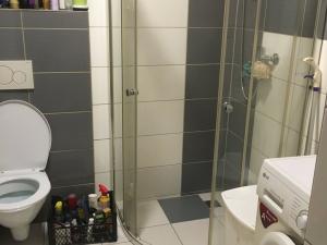 Pronájem bytu 2+kk, Opava, Rybářská, 32 m2