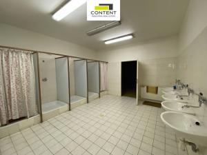 Prodej výrobních prostor, Sokolov, Chebská, 31345 m2