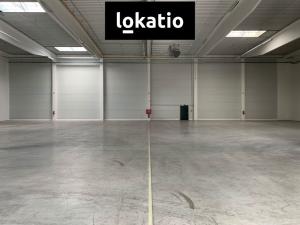 Pronájem skladu, Myslinka, 3294 m2