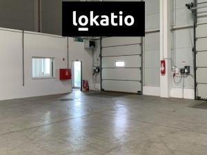 Pronájem skladu, Nýřany, U Mexika, 5442 m2