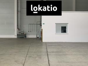 Pronájem skladu, Nýřany, U Mexika, 5442 m2