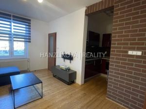 Pronájem bytu 2+1, České Budějovice - České Budějovice 5, Dělnická, 46 m2