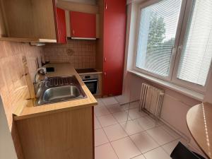 Pronájem bytu 1+1, Olomouc, Hamerská, 40 m2