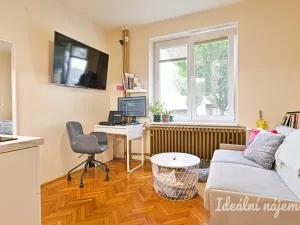 Pronájem bytu 1+kk, Brno - Královo Pole, Ruská, 20 m2