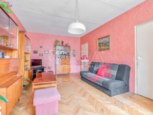 Prodej bytu 3+1, Nový Jičín, Dlouhá, 76 m2