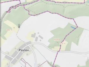 Prodej lesa, Pavlov, 1363 m2