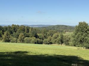 Prodej pozemku pro bydlení, Nechvalice - Ředice, 4965 m2