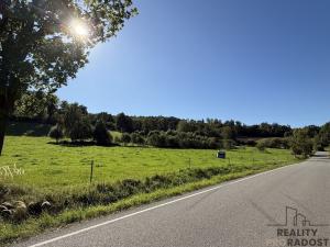 Prodej pozemku pro bydlení, Nechvalice - Ředice, 4965 m2