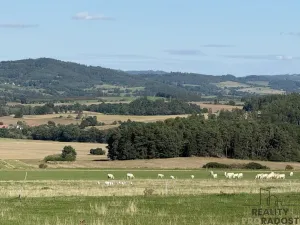 Prodej pozemku pro bydlení, Nechvalice - Ředice, 4965 m2