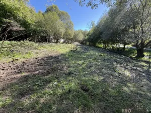 Prodej pozemku pro bydlení, Nechvalice - Ředice, 4965 m2