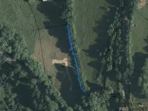 Prodej pozemku pro bydlení, Nechvalice - Ředice, 4965 m2