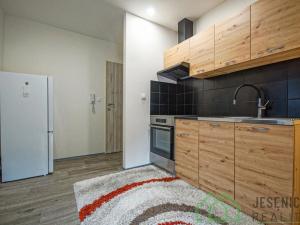 Pronájem bytu 1+kk, Lipová-lázně, 35 m2