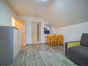 Pronájem bytu 1+kk, Lipová-lázně, 35 m2