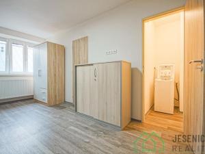 Pronájem bytu 1+kk, Lipová-lázně, 35 m2