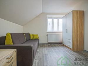 Pronájem bytu 1+kk, Lipová-lázně, 35 m2