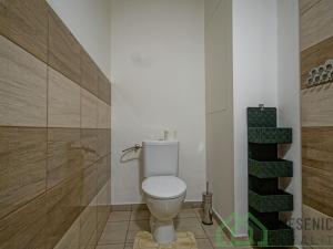 Pronájem bytu 1+kk, Lipová-lázně, 35 m2