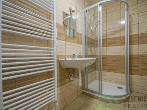 Pronájem bytu 1+kk, Lipová-lázně, 35 m2