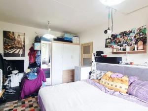 Pronájem bytu 1+1, Brno, Olbrachtovo náměstí, 31 m2