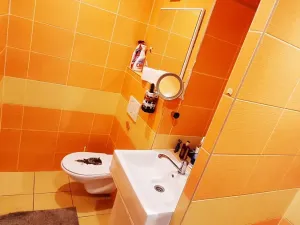 Pronájem bytu 1+1, Brno, Olbrachtovo náměstí, 31 m2