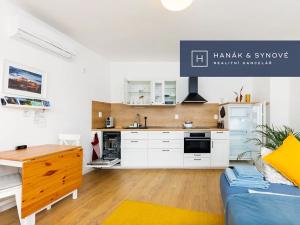 Pronájem bytu 1+kk, Brno, Francouzská, 27 m2