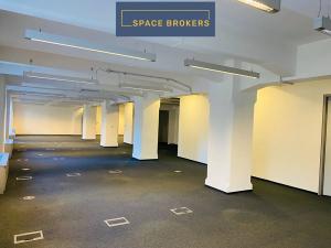 Pronájem kanceláře, Praha - Holešovice, Jankovcova, 1094 m2