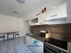 Prodej bytu 1+1, Teplice, 14. října, 41 m2