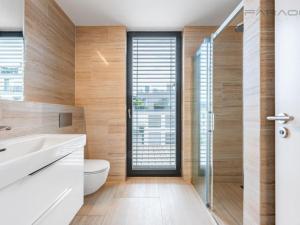 Pronájem bytu 2+kk, Praha - Košíře, Lerausova, 60 m2