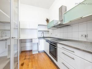 Pronájem bytu 2+kk, Praha - Vinohrady, U Zvonařky, 112 m2