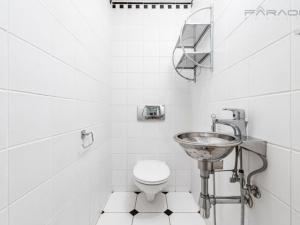 Pronájem bytu 2+kk, Praha - Vinohrady, U Zvonařky, 112 m2