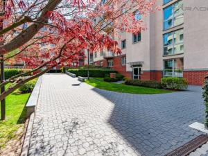 Pronájem bytu 2+kk, Praha - Vinohrady, U Zvonařky, 112 m2