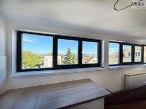 Pronájem bytu 3+kk, Osek, Tovární, 71 m2