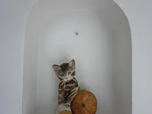 Pronájem rodinného domu, Včelná, Hraniční, 150 m2