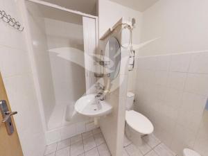 Pronájem bytu 1+1, Horní Bříza, Na Kaolince, 38 m2
