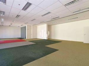 Pronájem kanceláře, Praha - Holešovice, U průhonu, 1050 m2