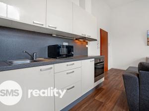 Pronájem bytu 1+kk, Opava - Město, Popská, 34 m2