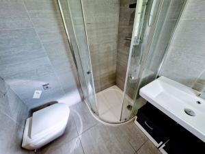 Pronájem bytu 1+1, Ústí nad Labem - Klíše, Ostrčilova, 41 m2