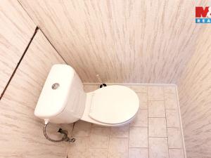 Pronájem bytu 1+1, Hodkovice nad Mohelkou, Podlesí, 36 m2