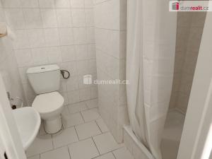 Pronájem bytu 1+kk, Praha - Strašnice, Za poštou, 25 m2